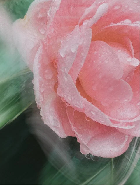 Protector solar mineral FPS 30 para cuerpo y rostro